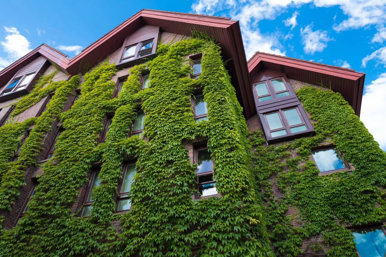 Grüne Bautechnik als Grundstein für grünes Wohnen