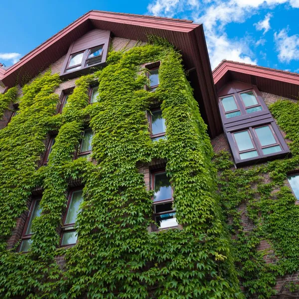 Grüne Bautechnik als Grundstein für grünes Wohnen