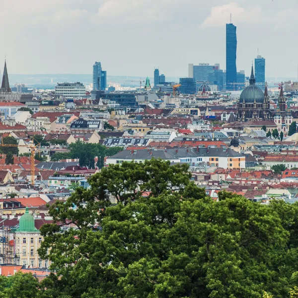 Erholung am Immobilienmarkt: Branchenexpert:innen fordern politische Maßnahmen