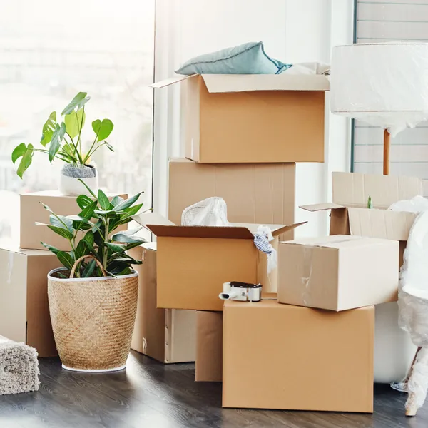 Wohnungsmarkt im Wandel: Warum viele ihre Umzugspläne vorerst auf Eis legen