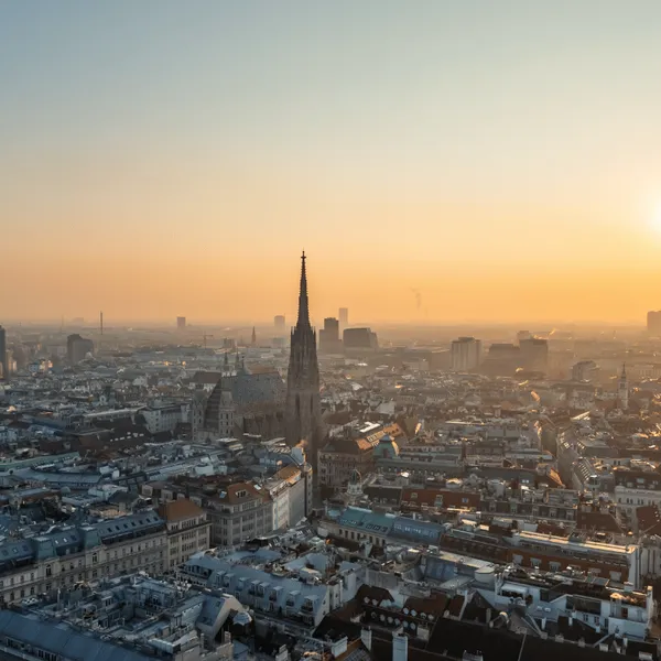 Beratung im Aufschwung, junge Talente im Fokus der Branche