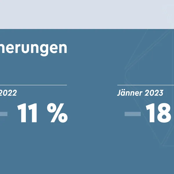IMMOunited Grundbuchanalyse